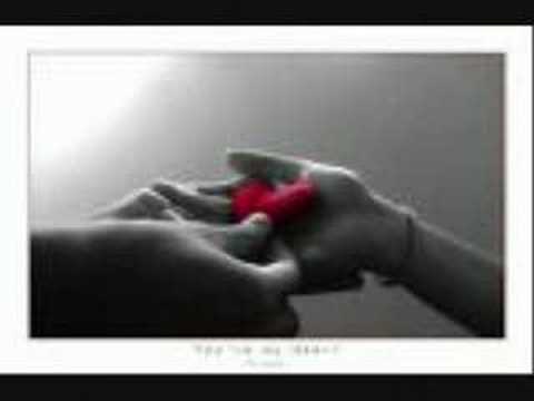 AntiZehiR Nefret Birtanem