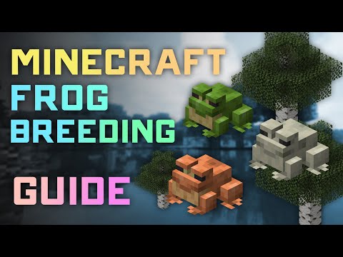 How to Catch, Breed Frogs & Get Frog Lights in Minecraft: Complete Guide!