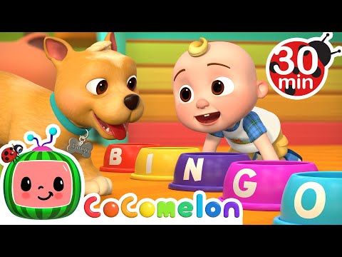 Bingo Was His Name-O + MORE Dog Songs! CoComelon Nursery Rhymes & Animal Songs