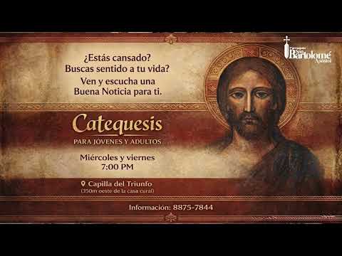 EN VIVO | Santa Misa: Viernes de la 11ª Semana del Tiempo Ordinario