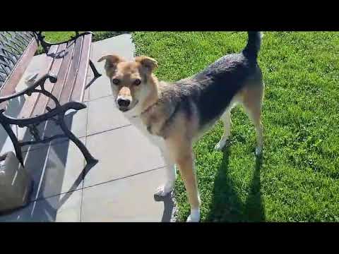 Deny w2/VID 20231022 WA0005