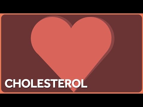 Cholesterol Isn't Quite as Bad as You've Been Told