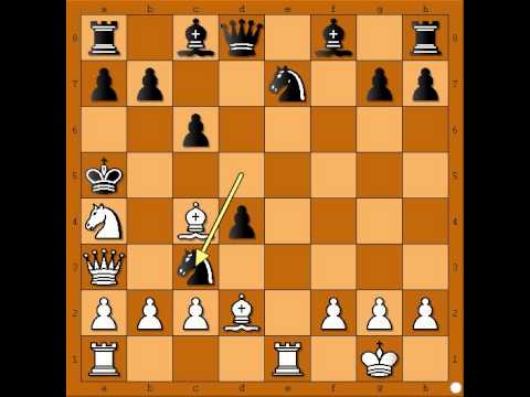 Komentar partije - KONSTANTIN SAVIC - Napad Fried Liver - amaterska br 6  # 620