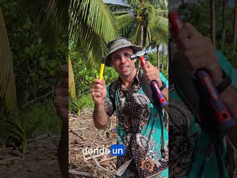El Paraíso Escondido de Panamá | Explorando Playa Las Lajas, Chiriquí
