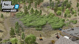 How Fast Can You Cut Down 300ish Trees? | Silverrun Forest | Farming Simulator 22