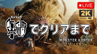 【モンハンワイルズ】ガンランスでクリアまで寝ないガンス【PC版】2025.2.28