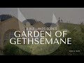 Garden Of Gethsemane The Bible Lands Series Touring Israel