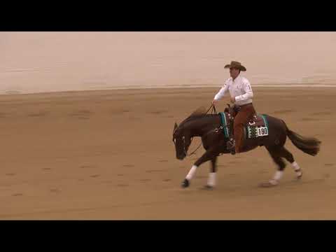 Mr Royal Hollywood & Brian Bell High Roller Reining Classic 2021 Open Derby