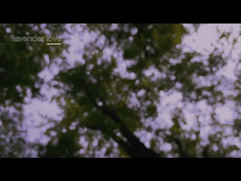 download lagu mp3 mp4 Lavender Love, download lagu Lavender Love gratis, unduh video klip Lavender Love
