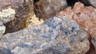 preview picture of video 'Schlange im Brunnenschacht des Cabreragebirges bei Turre'