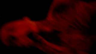 mest - fuck the greyhound bus - 10.30.08