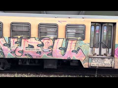 ASMR Old train to see in Rome in 2024😱/Vecchio treno che trovi a Roma/SUBSCRIBE@lalefinieyesroma