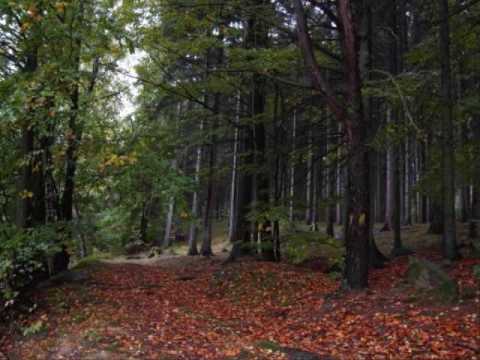 Ivo jahelka - Balada in trabanti