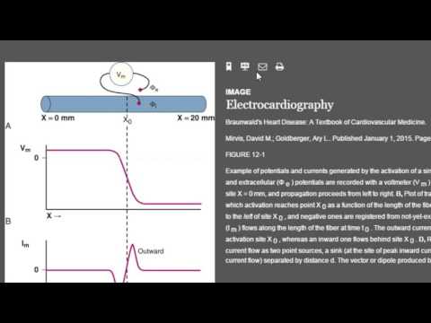 MBKU Library Clinical Key Presentation