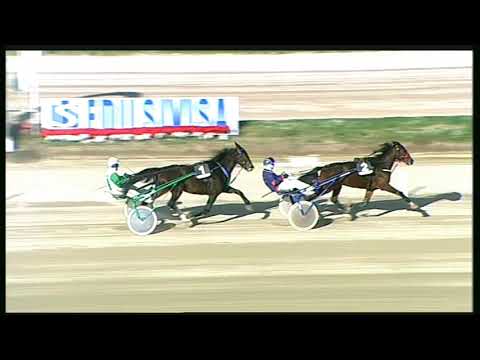 Trotto 22/11/2020 - prova di qualifica