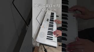 Download lagu 独学でピアノを始める カノン 約3か月 ピアノ/Canon/Pachelbel /Piano mp3