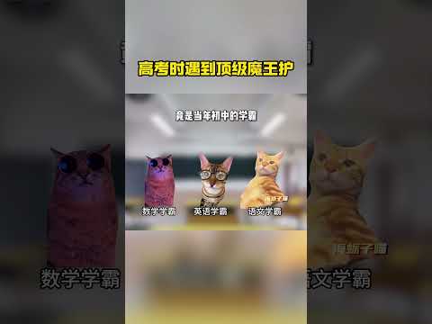 是时候展现真正的技术了#猫meme #搞笑 #高考 #魔王护