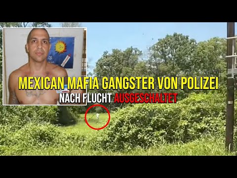 MEXIKANISCHER MAFIA GANGSTER nach GEFÄNGNISAUSBRUCH von der POLIZEI AUSGESCHALTET #news