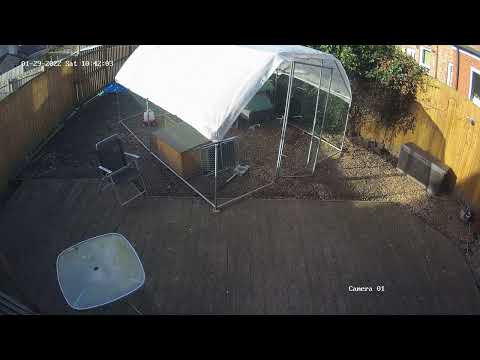 Storm Malik disturbs Birb corona lockdown