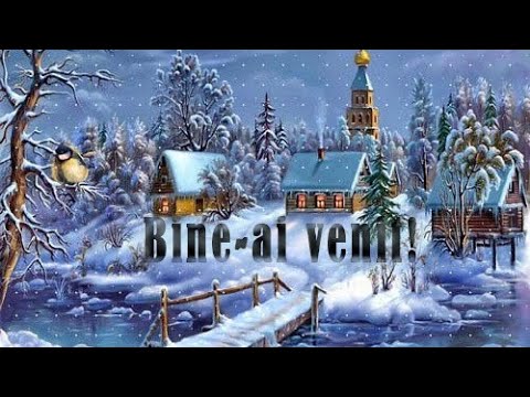 Fratii Bolohan | Bine-ai venit