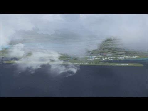 FSX - DC-8-50 - JT3D-3B engine sounds - fd views - takeoff