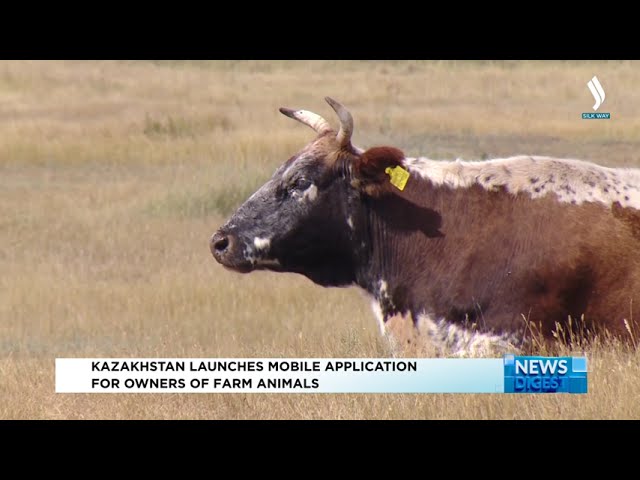 Қазақстанда мал шаруашылығы иелеріне арналған мобильді қосымша іске қосылды