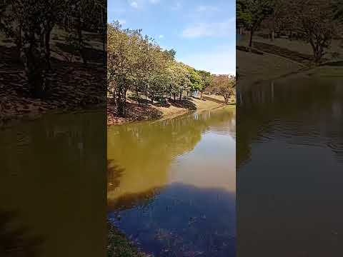 PARQUE LAGOA DOURADA - MANDAGUAÇU -PR