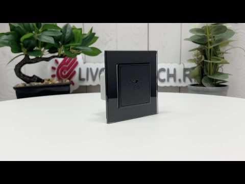 Розетка USB type C с блоком питания 45W Livolo, цвет черный (механизм) VL-FCUC-2BP