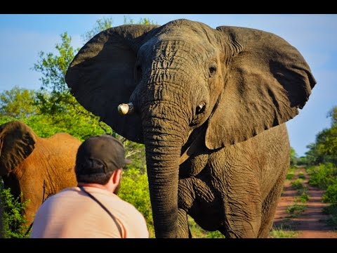 Original Wisdom / Nature Guide Training