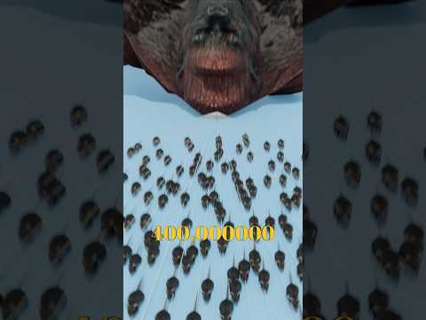 Rats Pulling A King Kong vs Horses Pulling A King Kong