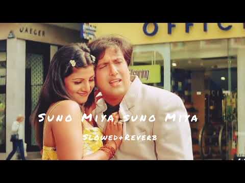 Suno Miya Suno Miya। Slowed+Reverb। Hindi Hit Song