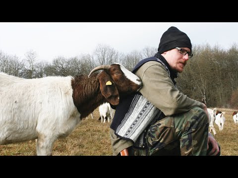 Mensch, Stuttgart – Der Hirte