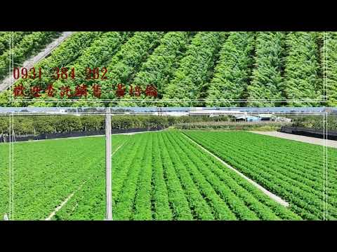 台南市麻豆區南寮段土地 第1張共5張