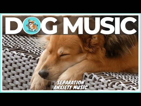 DOG MUSIC 1 Hour of Relaxing Music for Anxious Dogs #03 Dog Ica