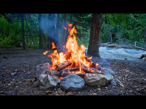 🔥 Escape into nature with a 10-hour ultra-relaxing campfire video, featuring a real crackling fire,