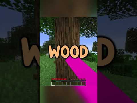 what if minecraft didn't have wood...