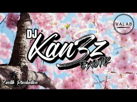 DJ KAN3Z X GIVEON - Heartbreak anniversary [ZOUK 2021]