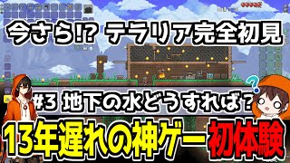 【ガチ初見】水の処理の仕方分からないがひたすら地下へ！ #3 【Twitch同時配信】