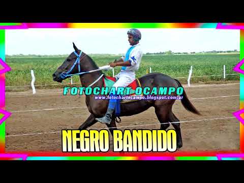 NEGRO BANDIDO - General Pinedo - Chaco 24/03/2024