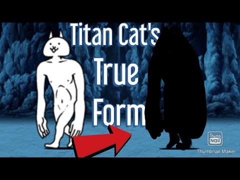 Getting Titan Cat's True Form | Battle Cats Evolutions