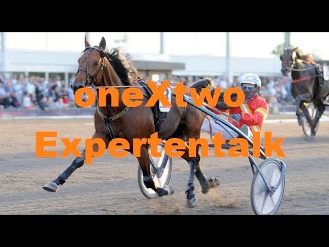 Criterium Continental 2017 | Prix Ténor de Baune 2017 | oneXtwo Expertentalk (23.12.17 - 24.12.17)