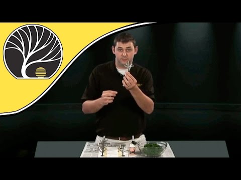 Model A Realistic Tree - Model Scenery | Woodland Scenics