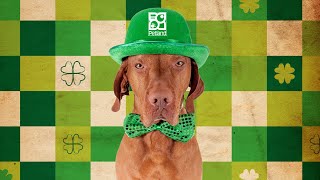 ☘️ Petland Ohio Found Your Lucky Charm