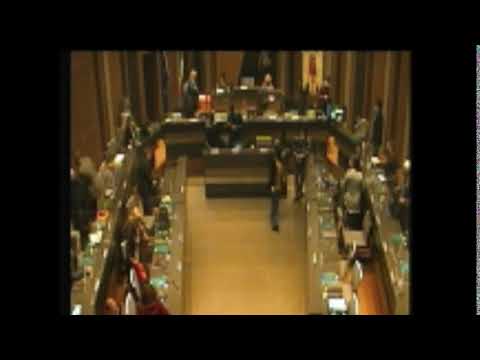 Seduta del Consiglio Comunale di Sesto Fiorentino del 08-11-2021