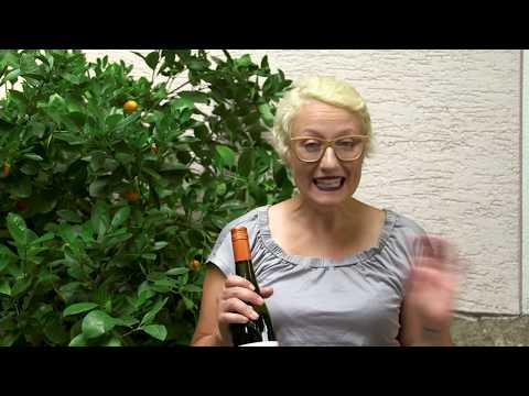 Rote Trinkfreu(n)de Rotwein von Jungwinzerin Winzerin Ilonka Scheuring aus Franken