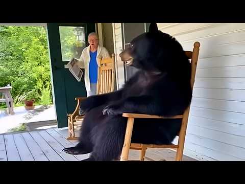 Funniest ANIMALS Videos 2026 😂 Animals Being Silly as Ever