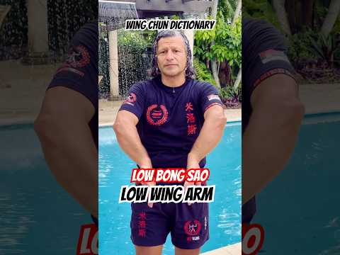 Wing Chun Dictionary | Low Bong Sao (Low Wing Arm)