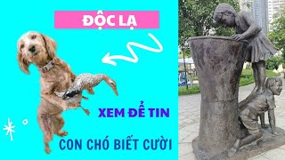 498🦜 Unique laughing dog, the tallest building in Vietnam