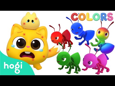 [NEW✨] 😣 Itchy Itchy! Ants Bite Ninimo! 🐜｜Learn Colors with Ants | Colors for Kids｜Hogi Colors