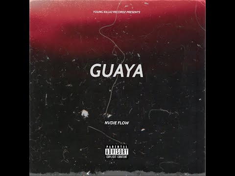 NVDIE FLOW - GUAYA